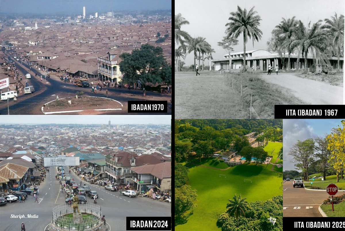 Oloma Juice 🍋 tweet media