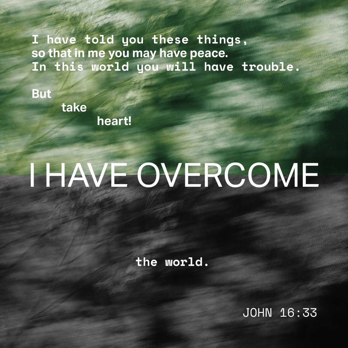 Darlene L. Turner tweet media