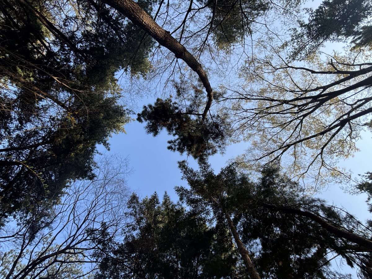 jelline kim tweet media