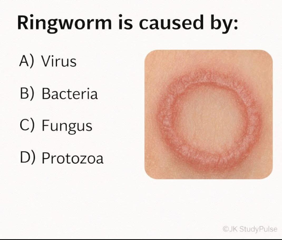 ALI ALKHALIFAH |:| عـلـي الخـليـفـة tweet media