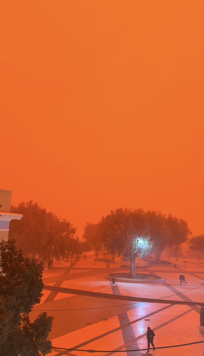 ²³nadi tweet media