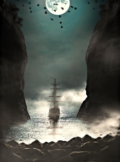 Michele Chase tweet media