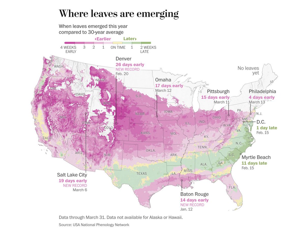 Ben Noll tweet media