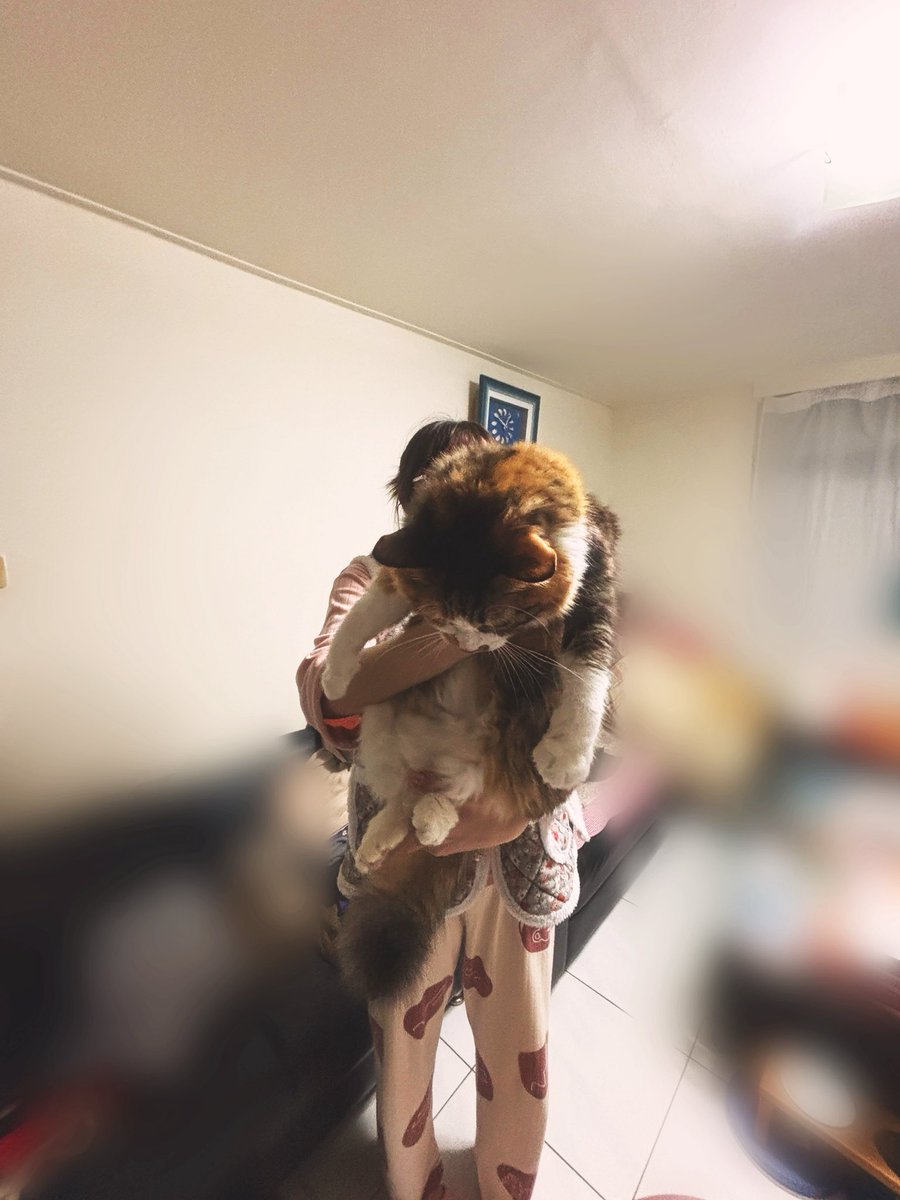 感覺該來重啟開喜廢文帳號 偷懶好久