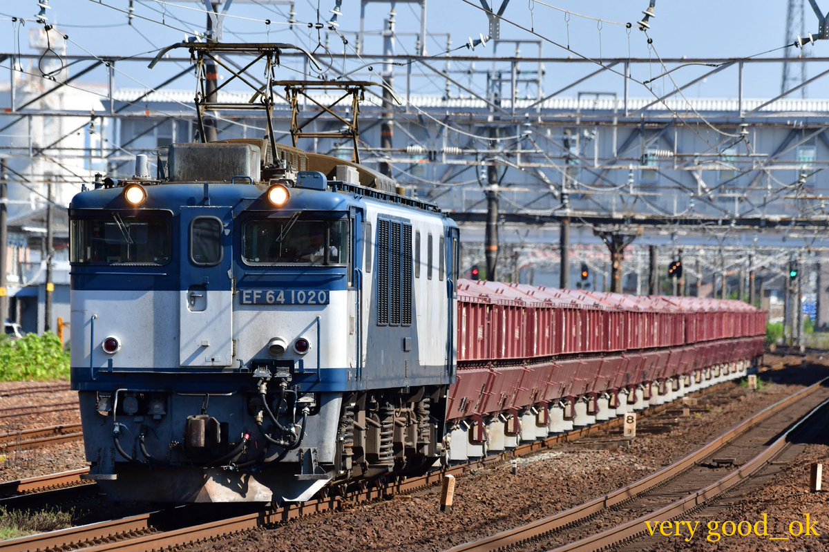 🇺🇦グッチさん👆📷 tweet media