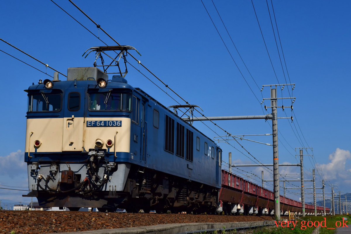 🇺🇦グッチさん👆📷 tweet media