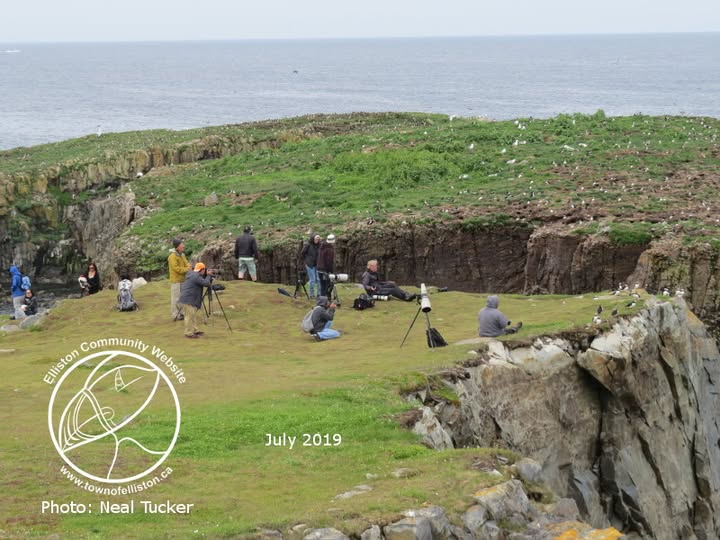 Town of Elliston tweet media