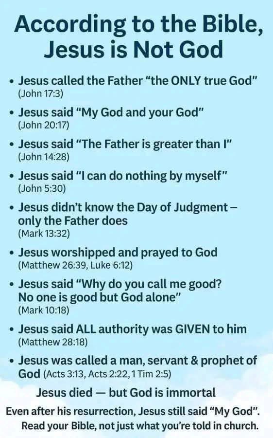 Peter Ali Steigenberger tweet media