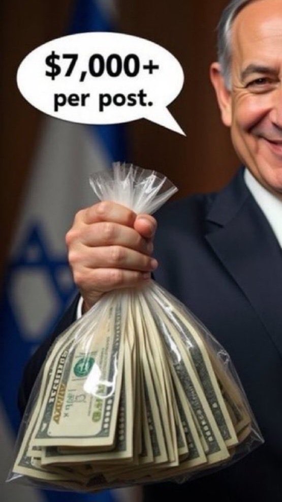 @offthegridMarbella tweet media