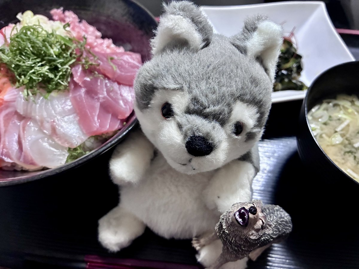 arrow🐺 tweet media