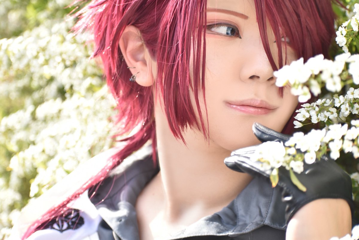 鞠花 景🍶新規予定12月以降 tweet media