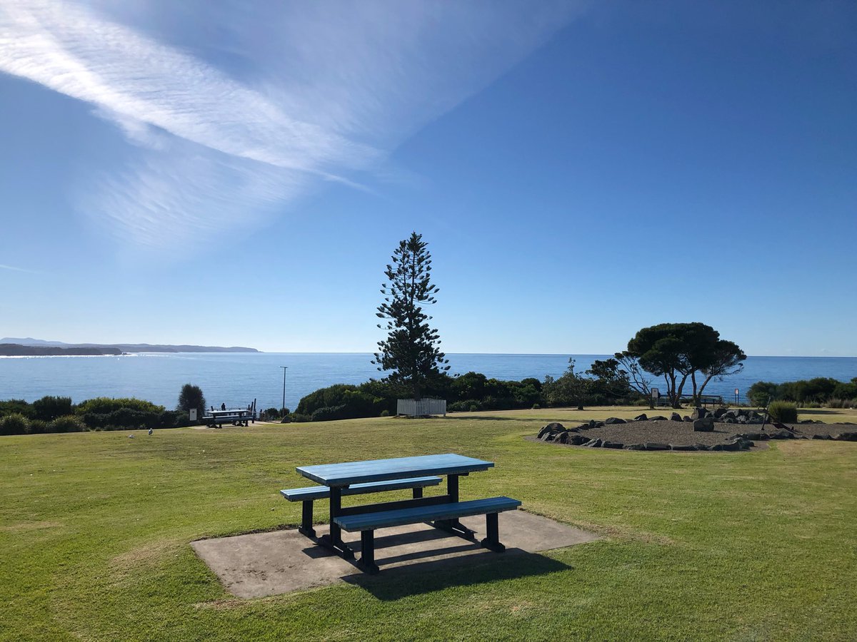 Manda Stewart tweet media