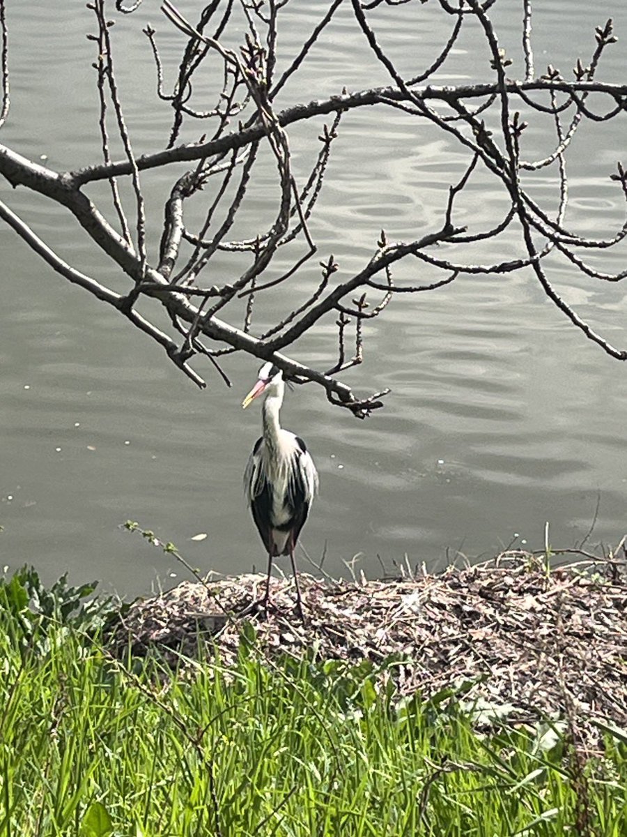 あんな🤍ChouChou tweet media