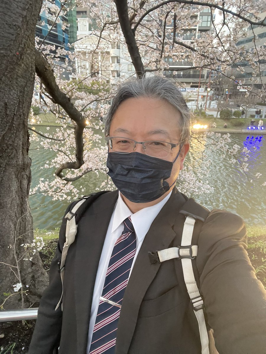 やす🦣 tweet media