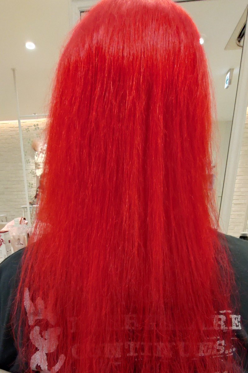 春だからﾍｱｻﾛﾝに行ったよ✨️
綺麗なｶﾗｰにしてもらったよォ✨️