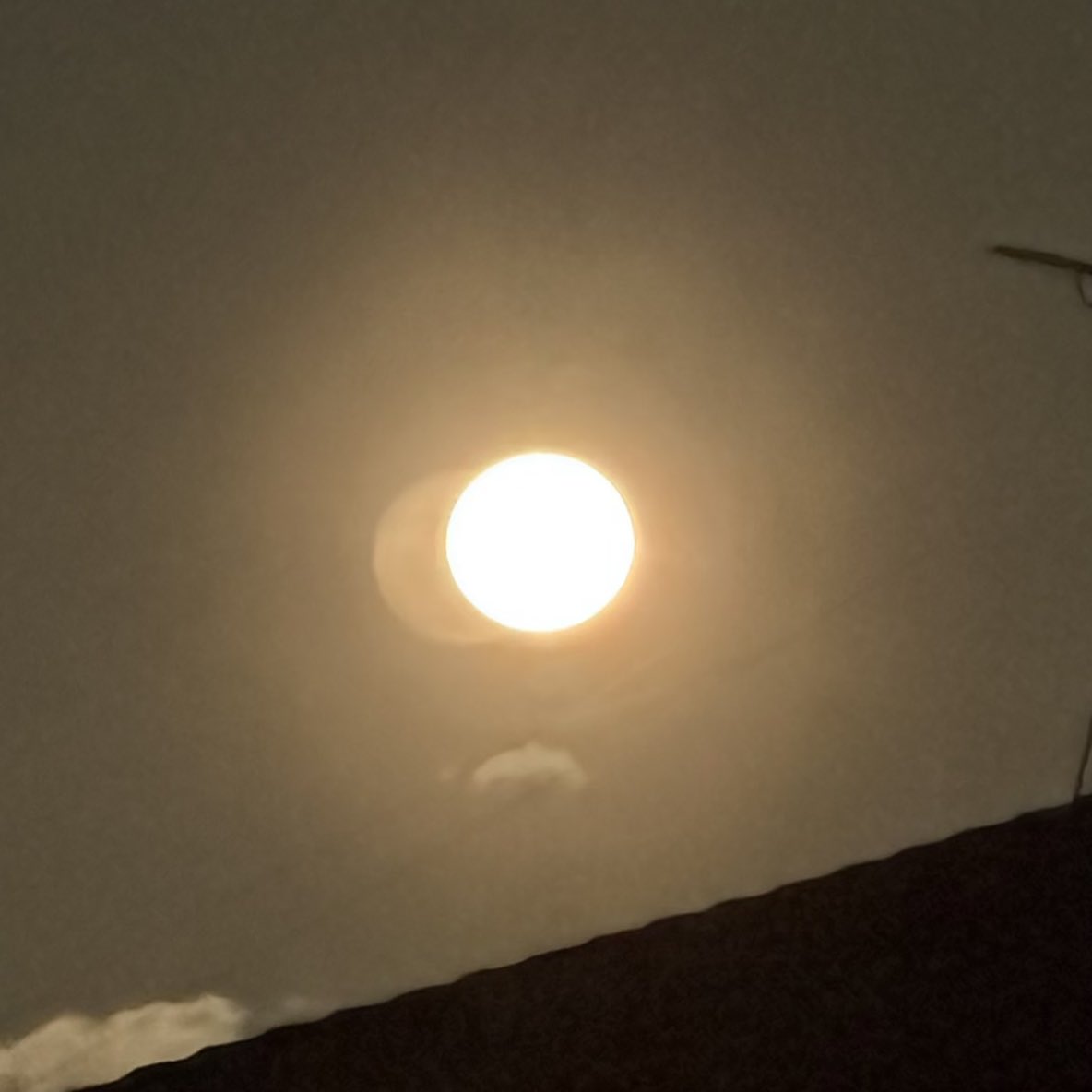 うに（ときに🍛） tweet media