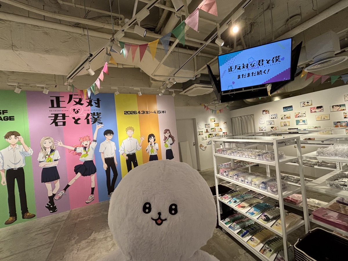 正反対な君と僕 公式 tweet media