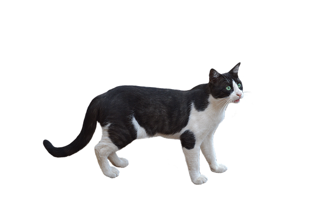 Gabriel Douglas tweet media