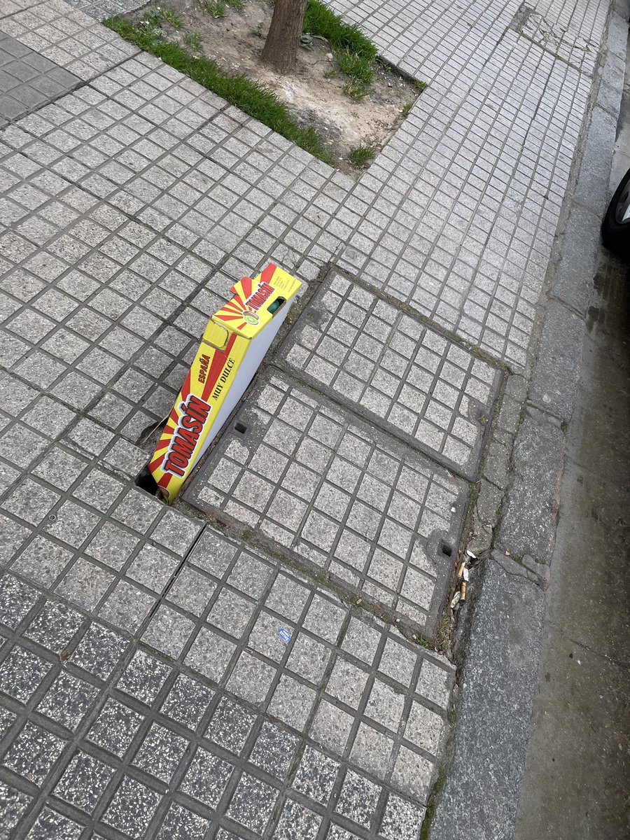 CiudadanoCortoMaltés tweet media