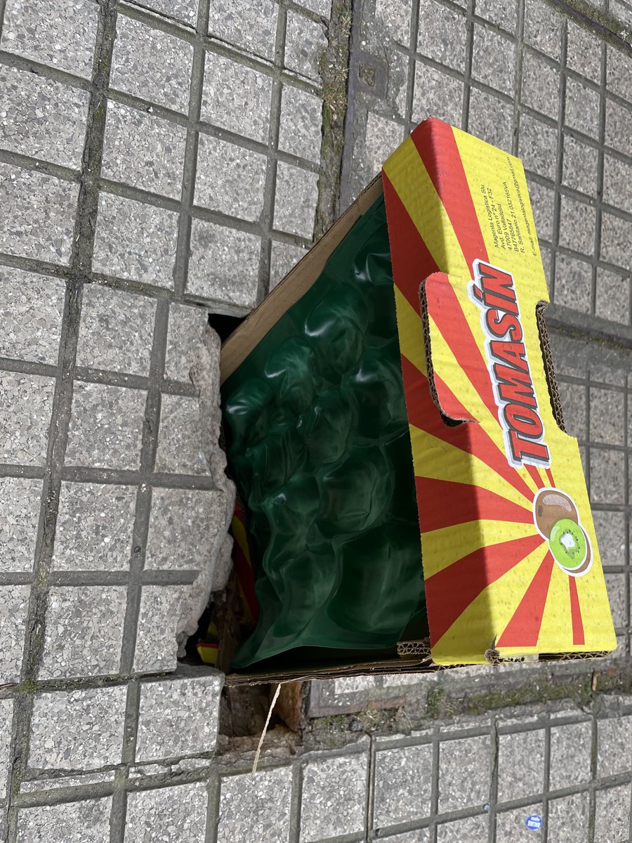 CiudadanoCortoMaltés tweet media