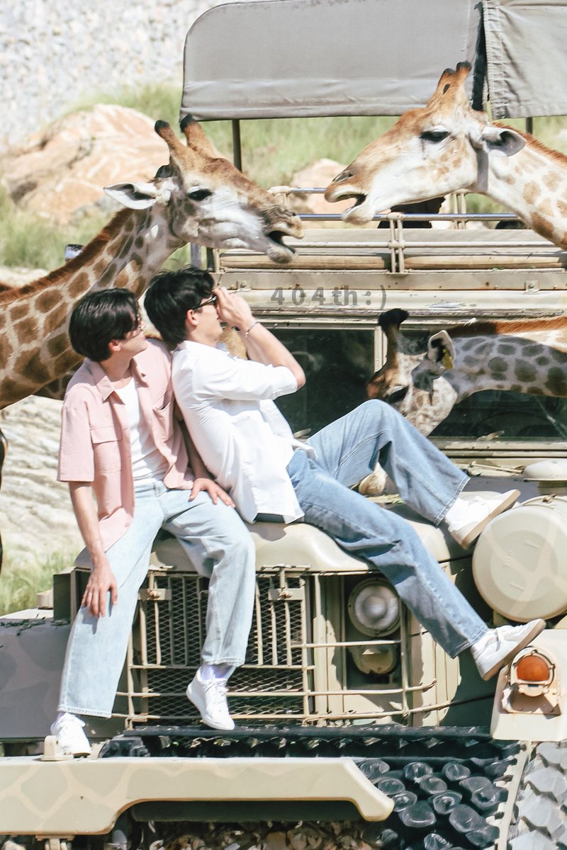 404th 🐻🐧 tweet media