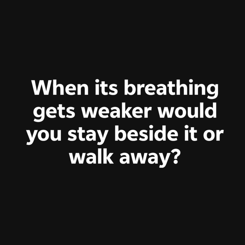 Kristina Bolten tweet media