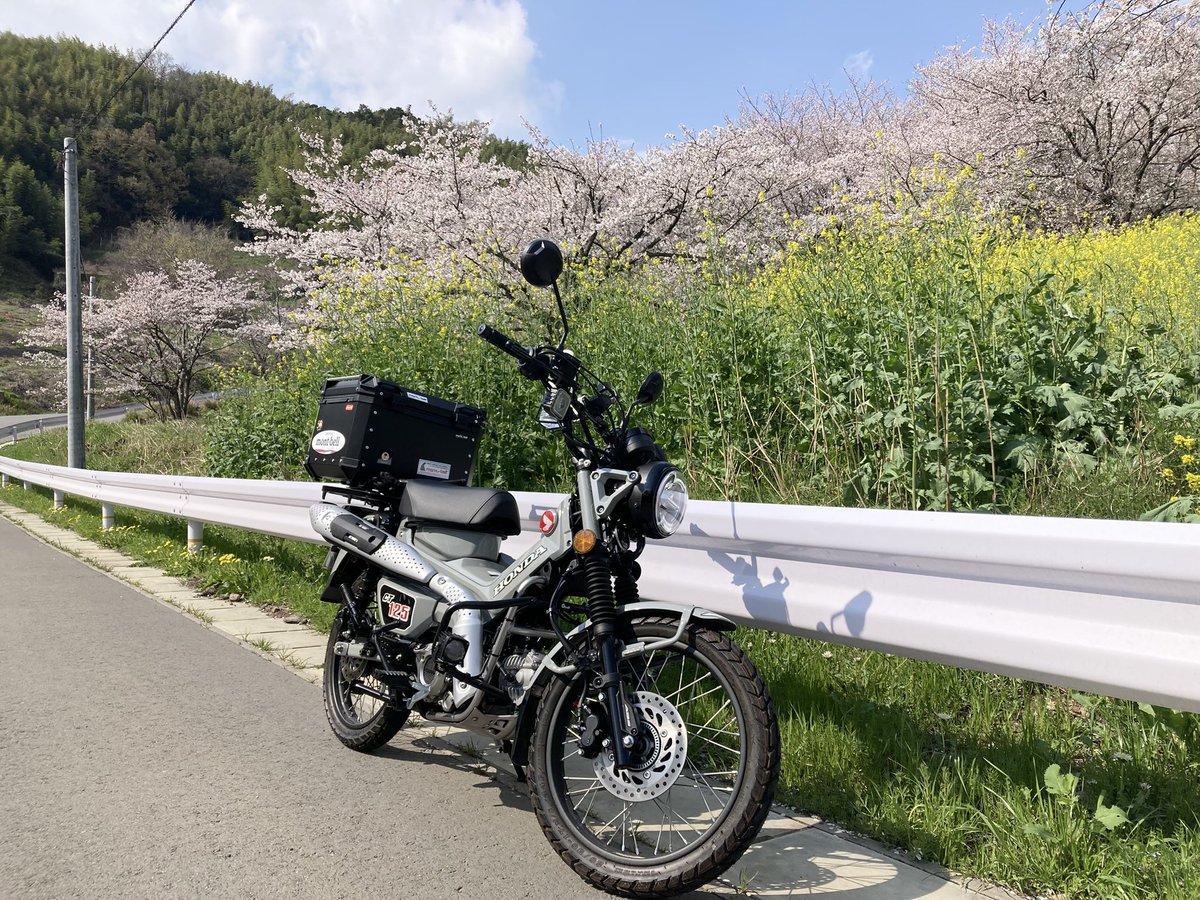 minamoto28's tweet photo. 今日の昼1時半から2時間
ハンターカブで裏山にダッシュ！
桜🌸観れました👍😃 https://t.co/VidKCBprUZ