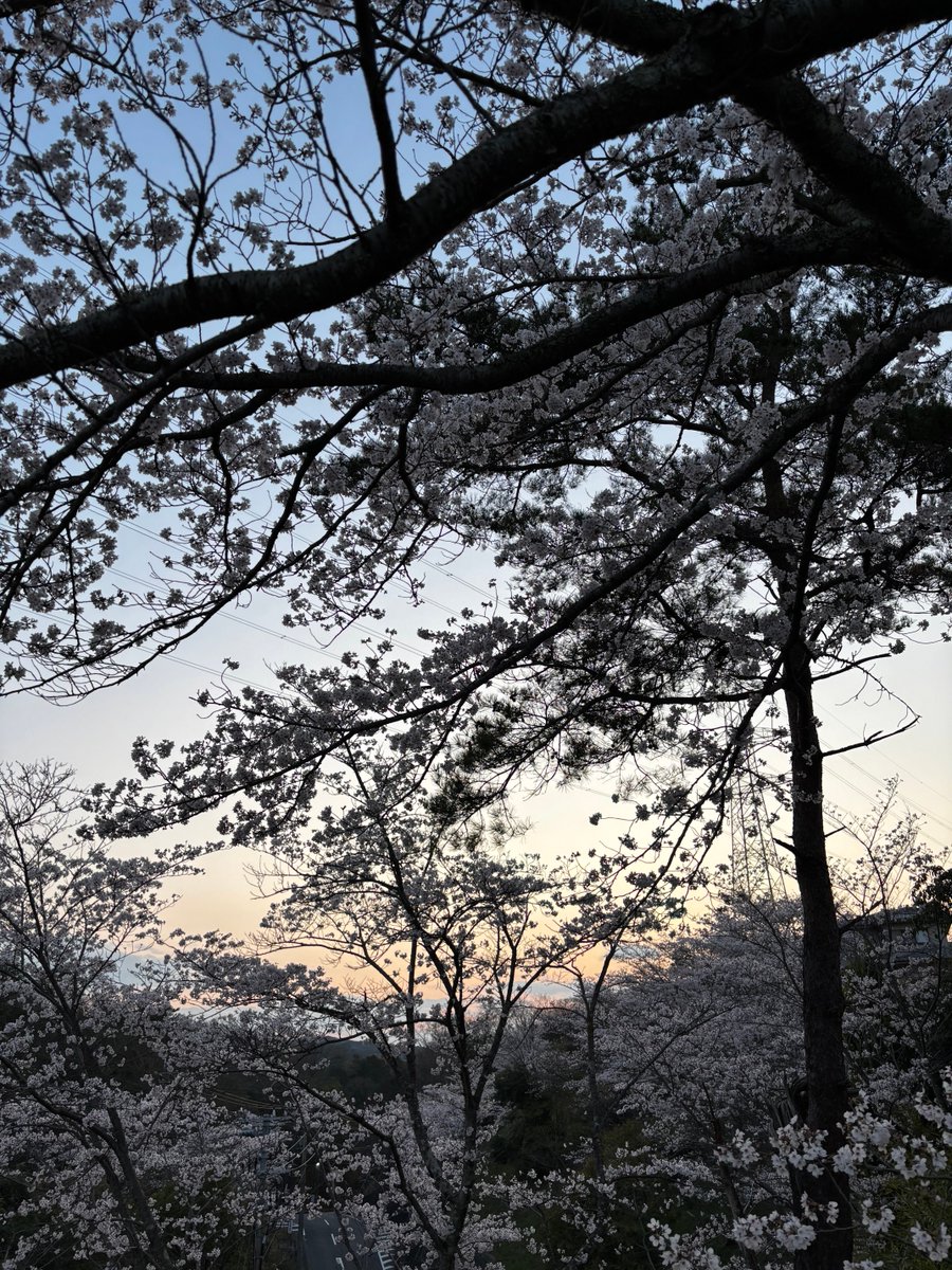 まる。 tweet media