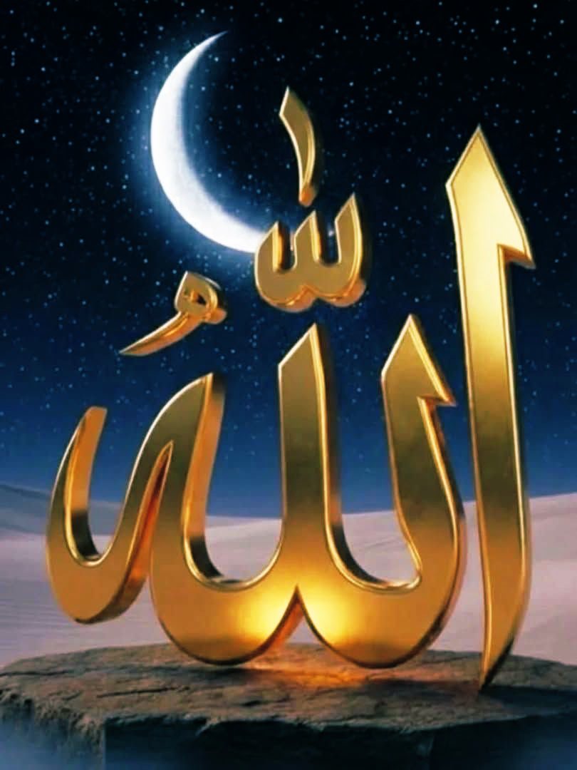 خان تنولی tweet media