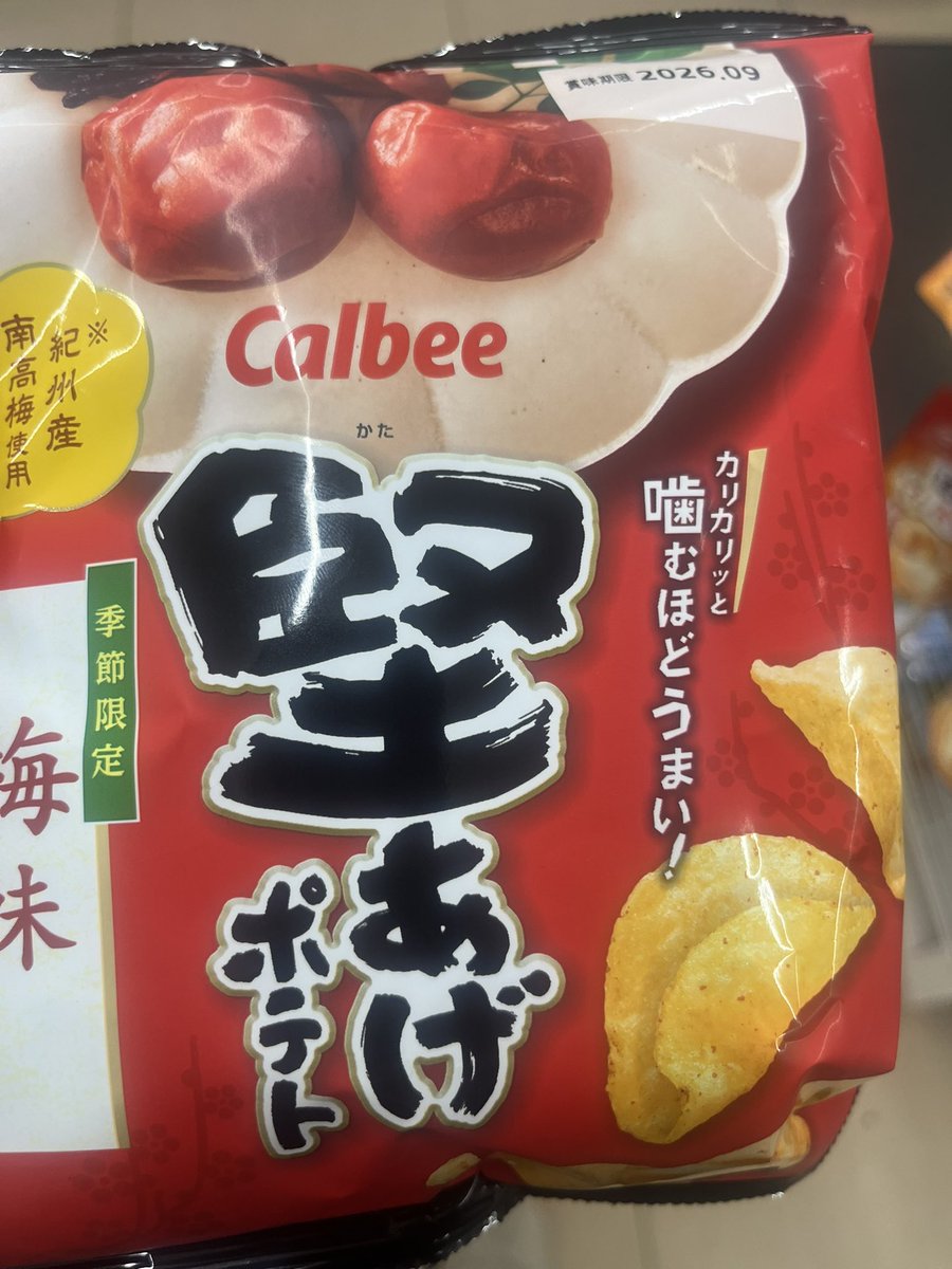 よーき/Webコーダー tweet media