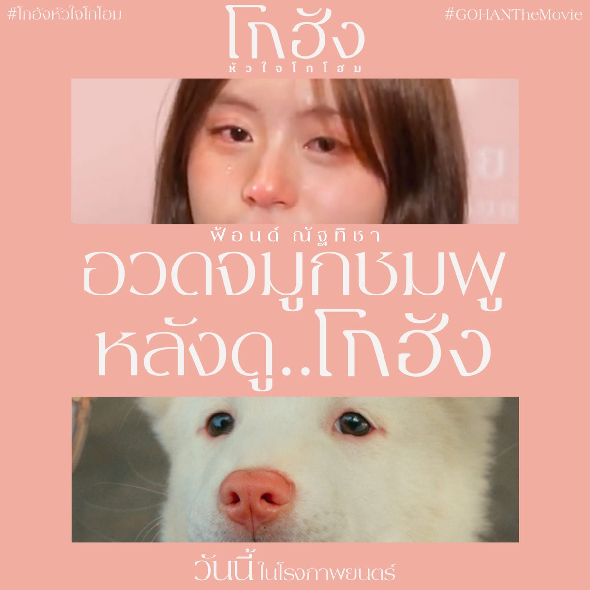 หมีซัง ¯\_(ツ)_/¯ tweet media