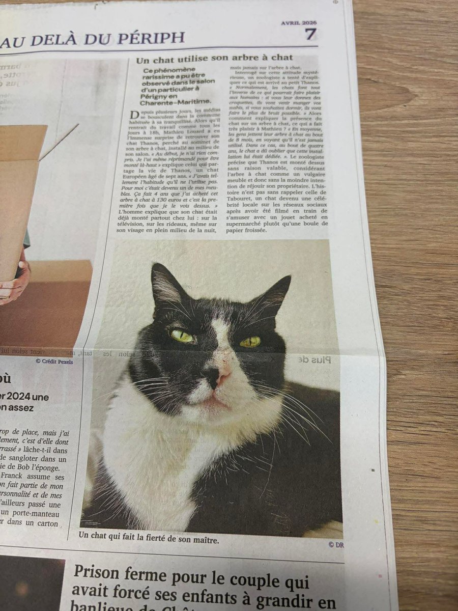 thanos_cat's tweet photo. Petit hommage à Thanos qui apparaît dans le premier numéro du @le_gorafi ❤️🐾 https://t.co/oFZx4kXwO2