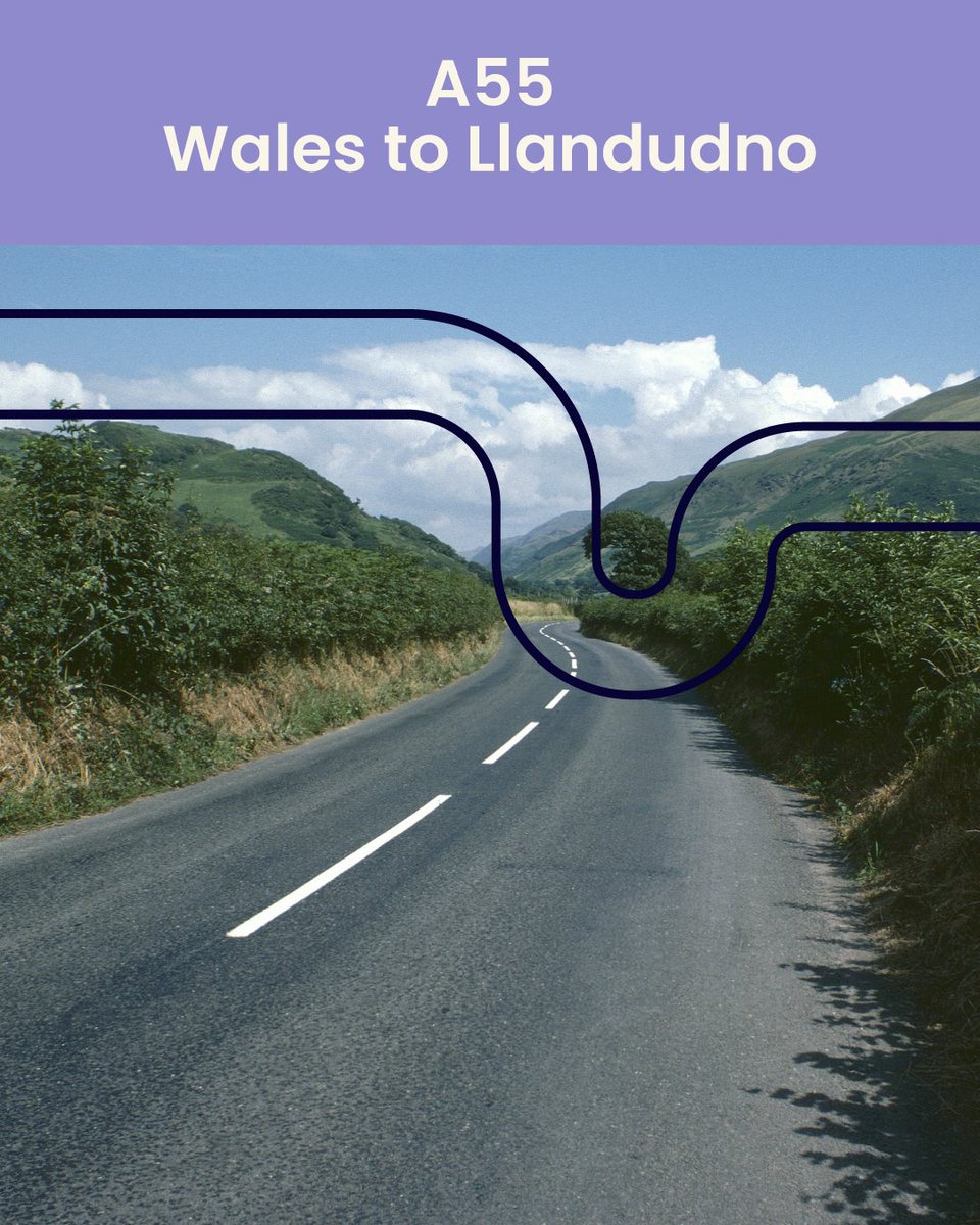 ALA Insurance tweet media