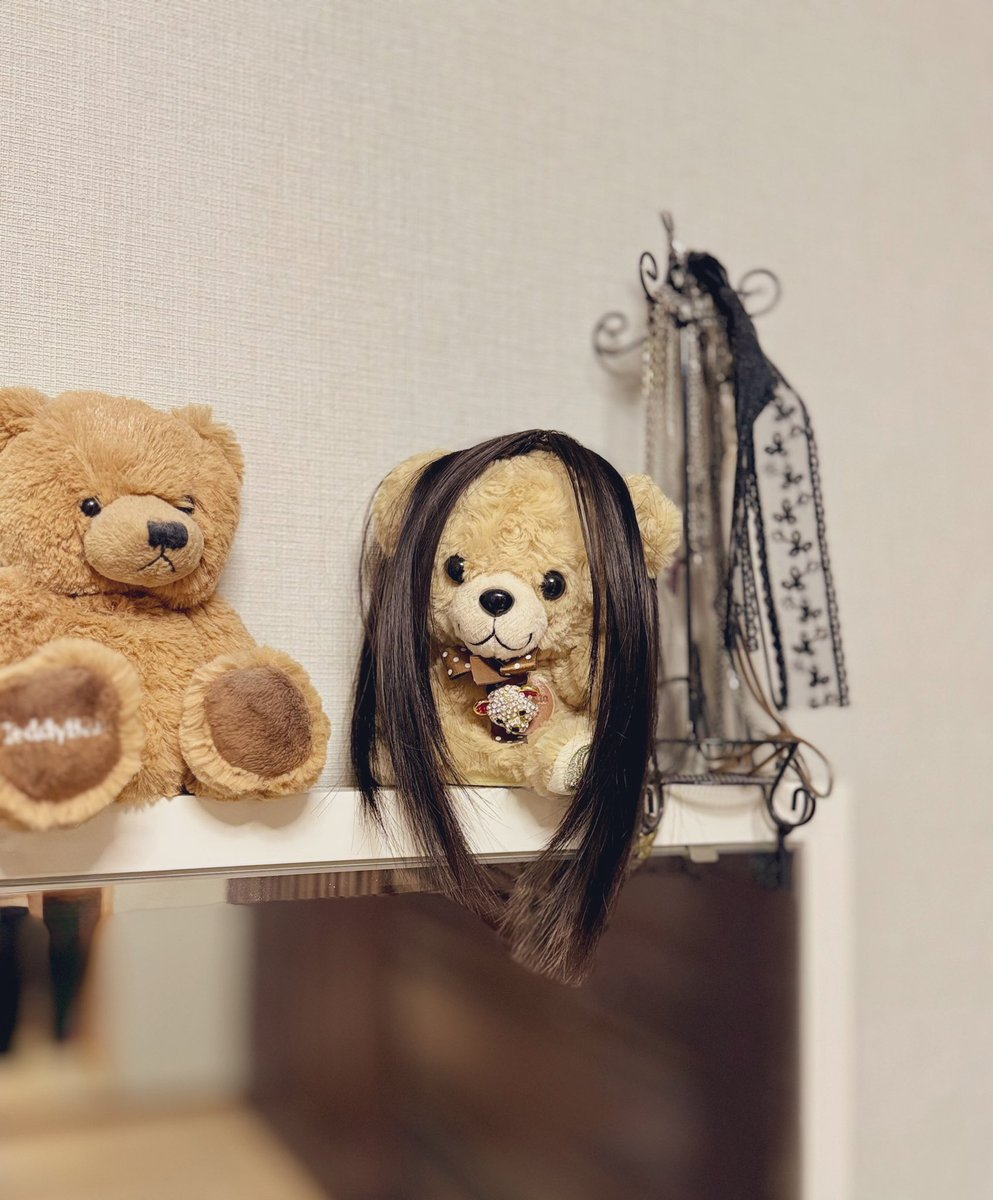 mocca(ともぽん)RoyalLine tweet media