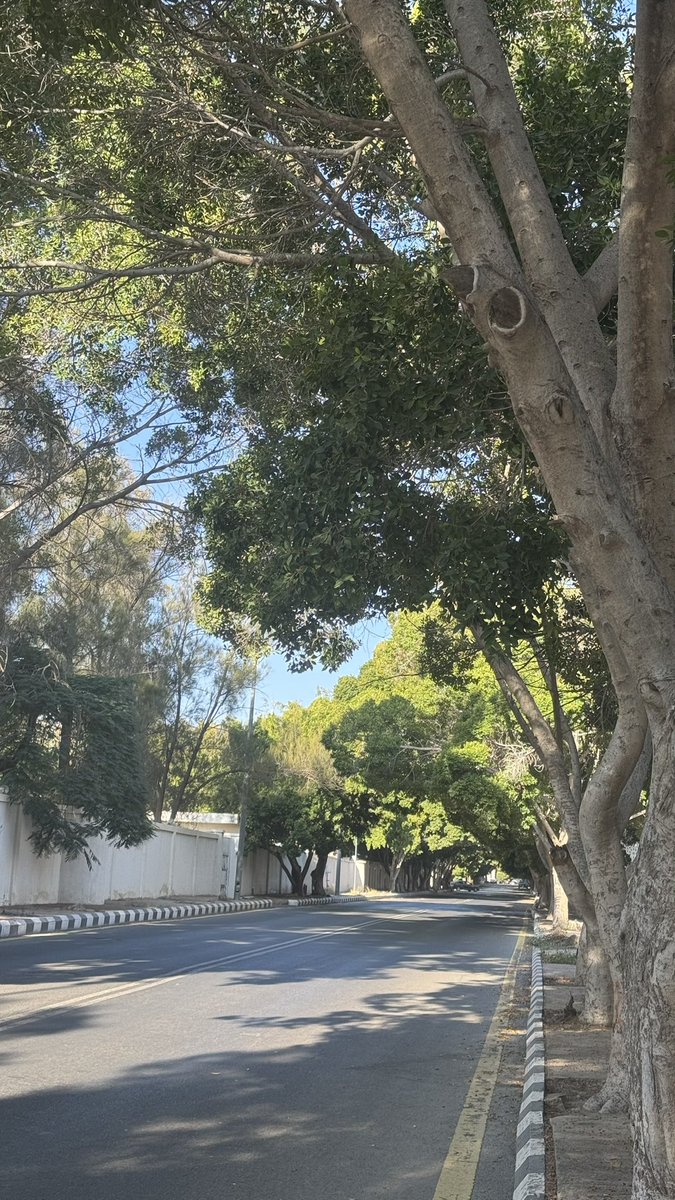 ⓃⒶⓌⒶⓁ . tweet media