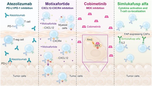 The Oncologist tweet media