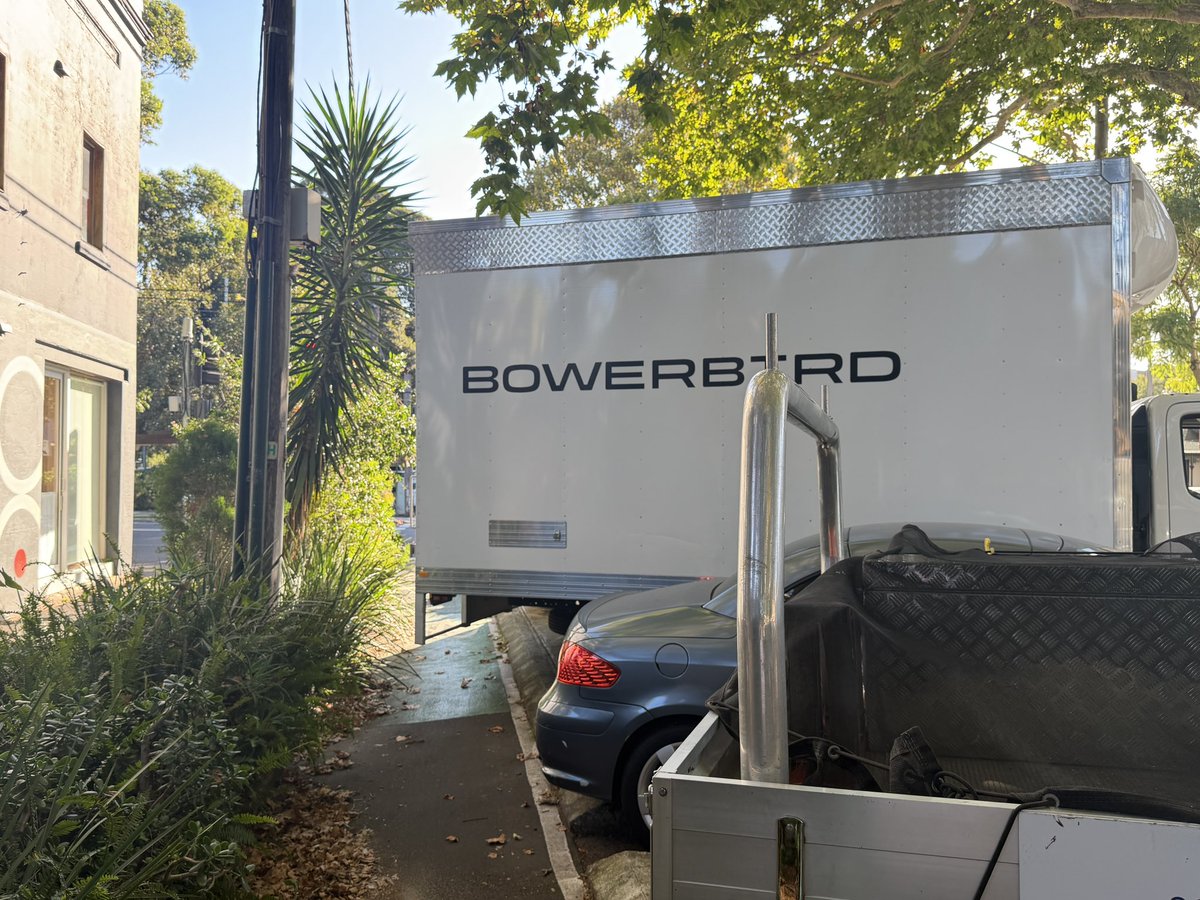 SkipperReu tweet media