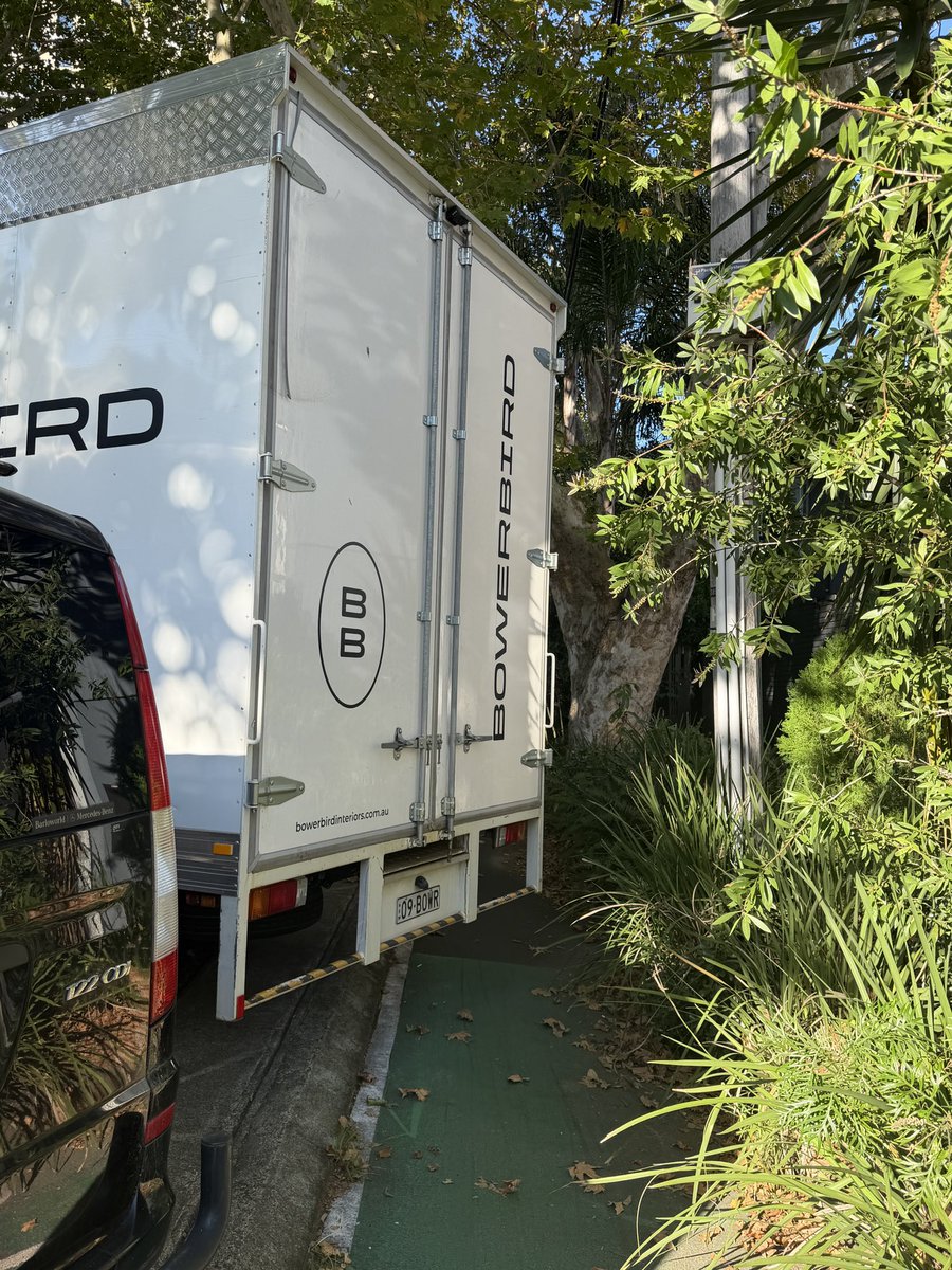 SkipperReu tweet media