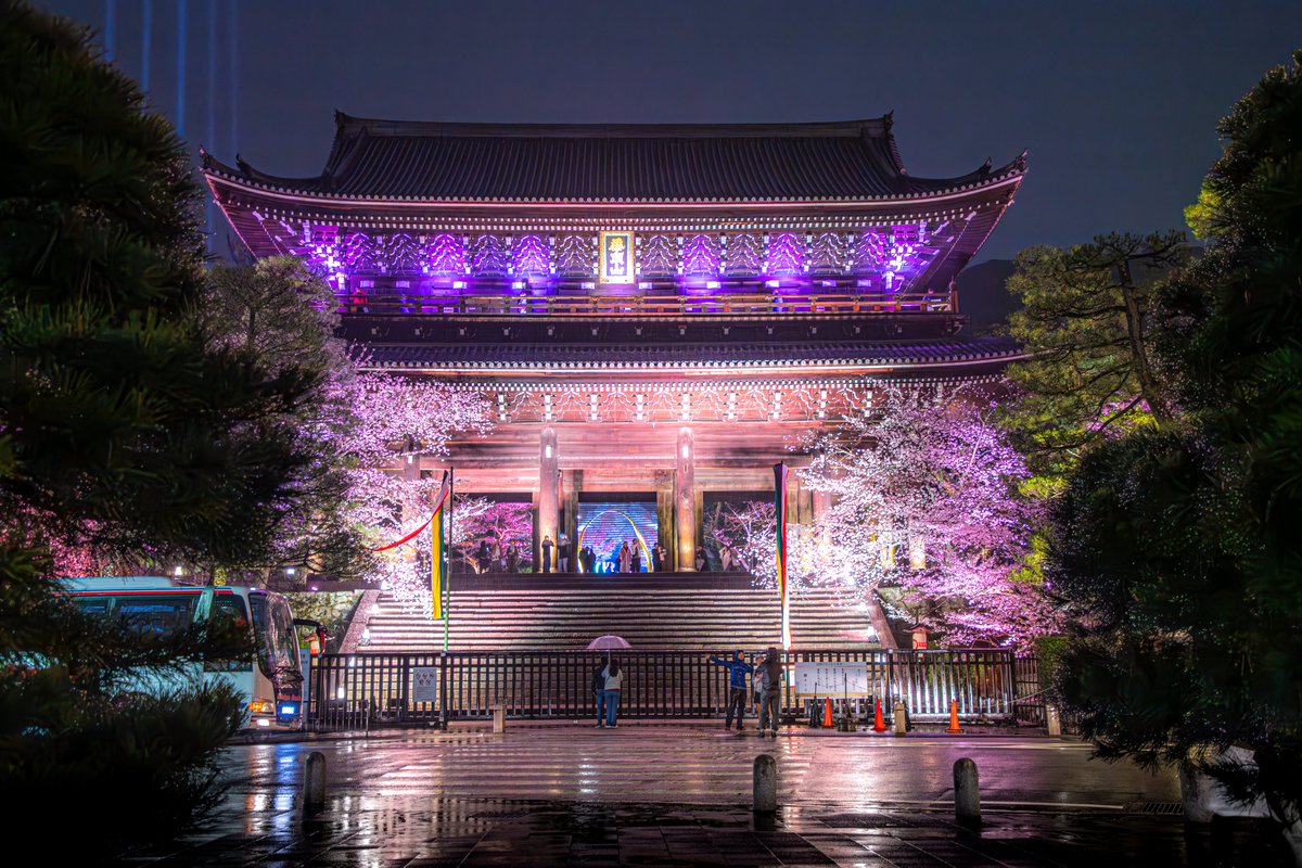 ピヌガヌ tweet media