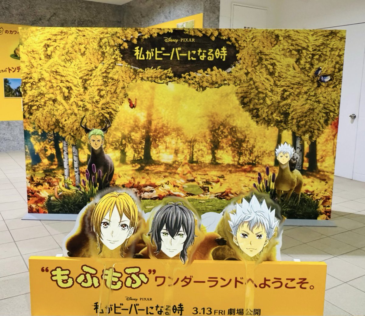 あや㋕🌻 tweet media