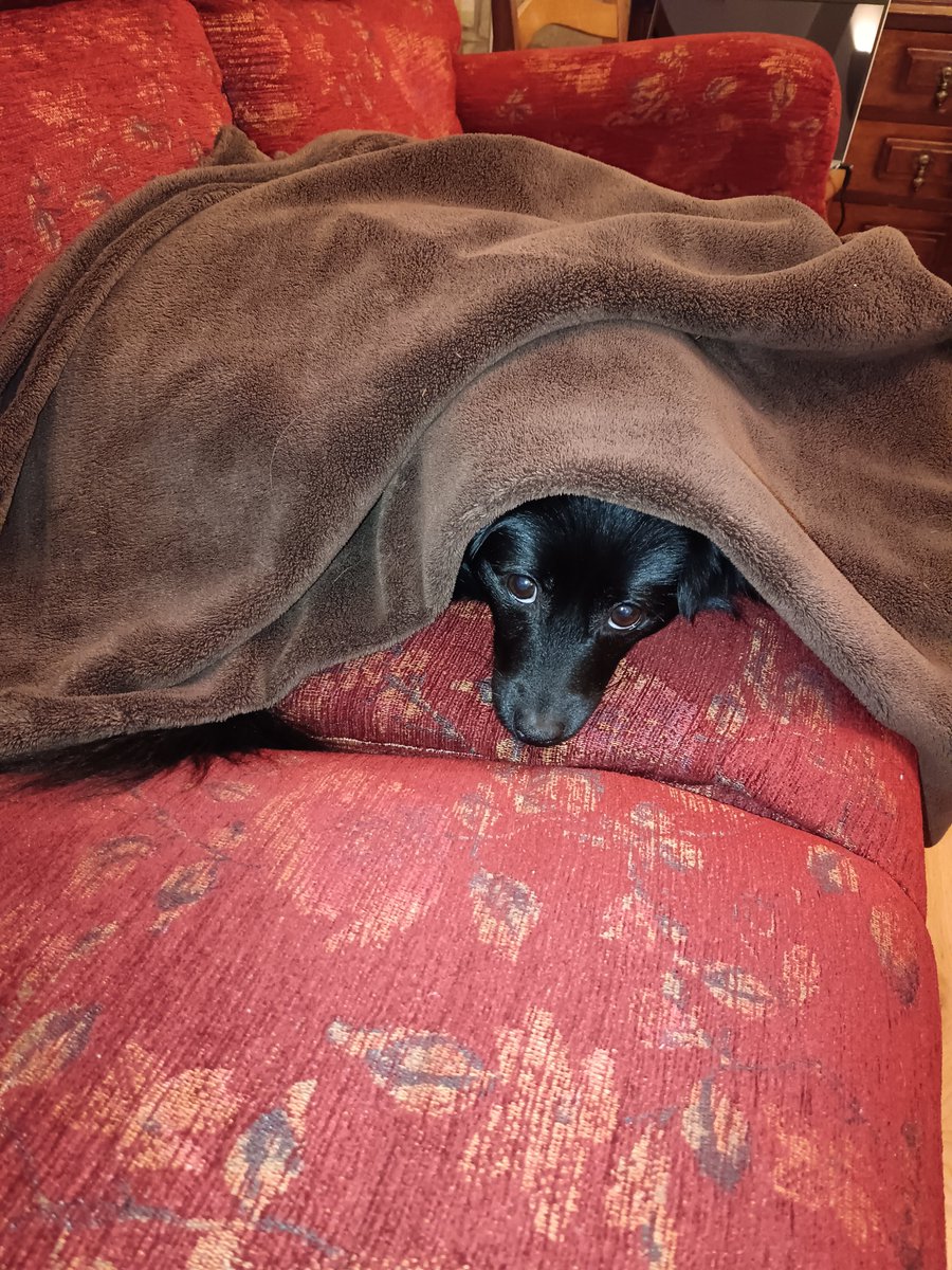 Anna Legat tweet media