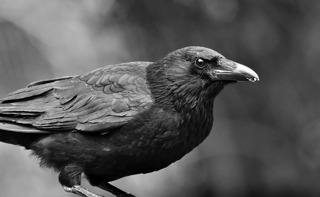 Kendra Colon tweet media