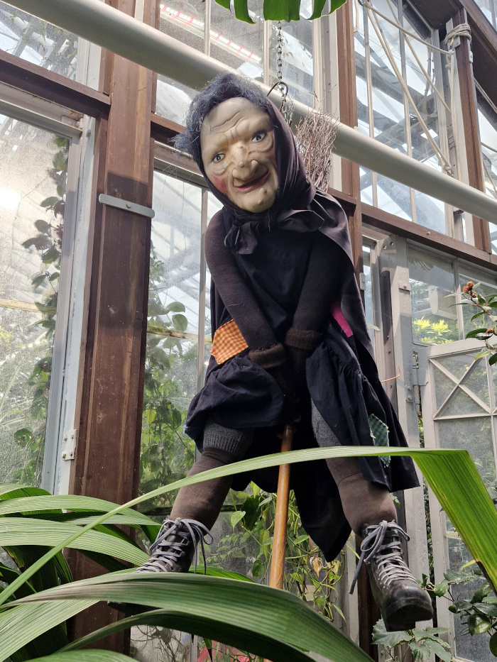 Mika Lappalainen tweet media