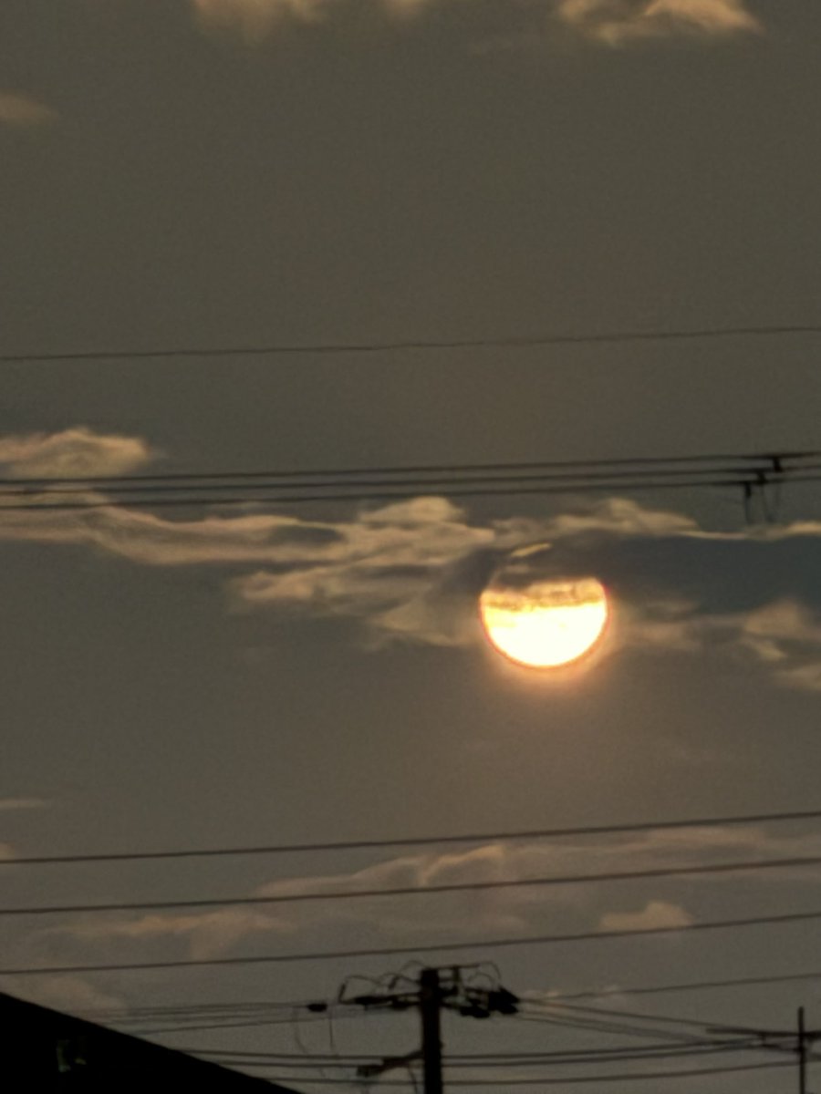 ぽむらん tweet media