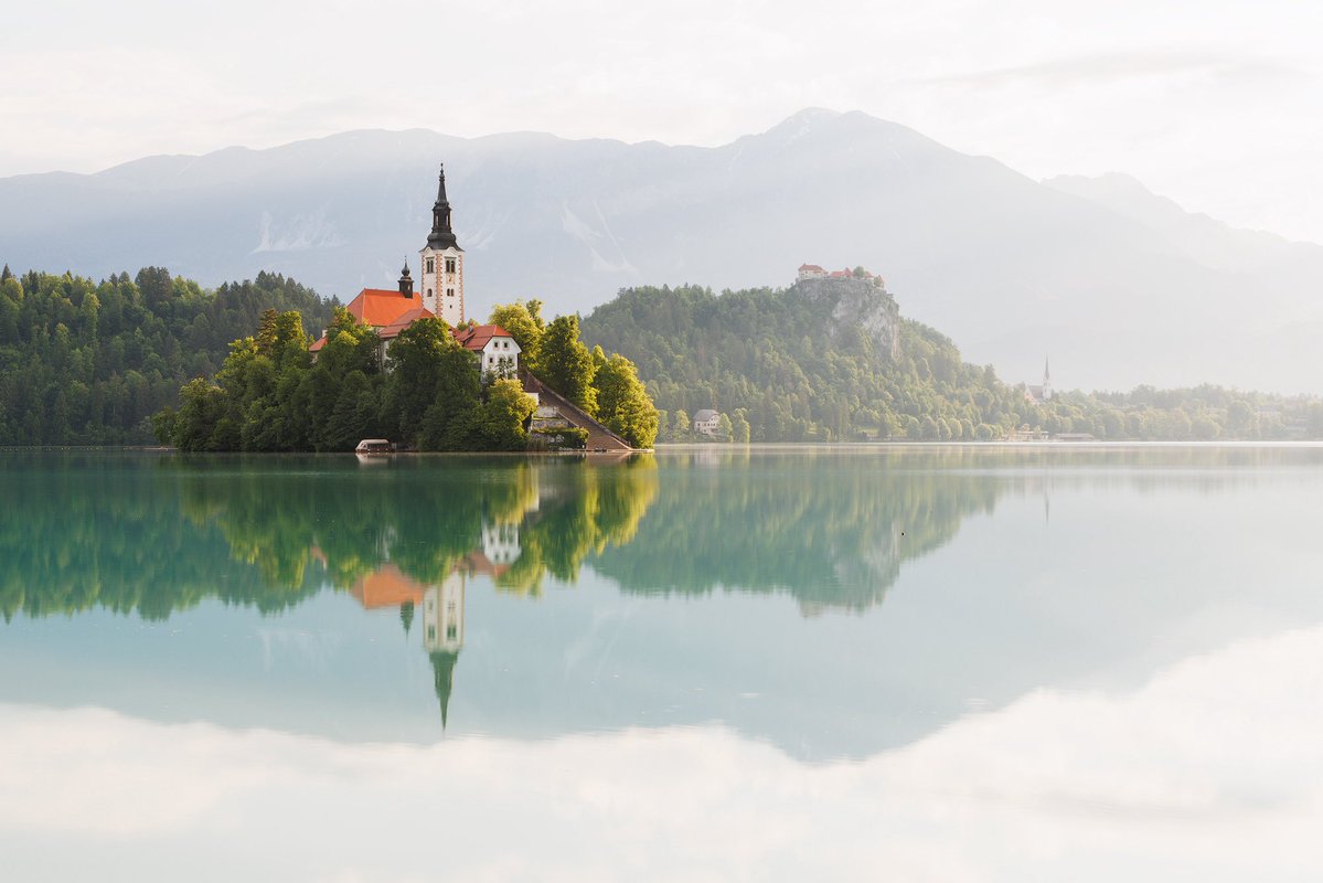 Martin Rak tweet media