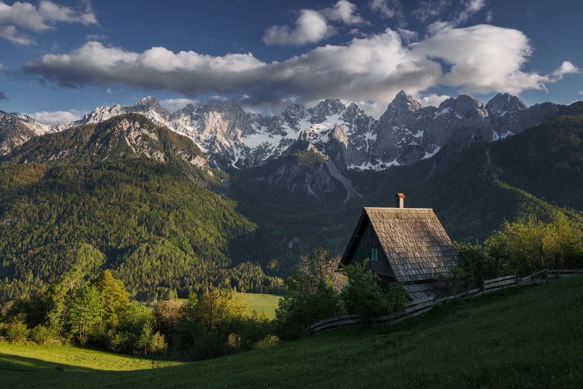 Martin Rak tweet media