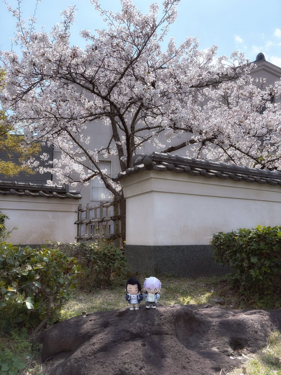 春のお出掛け🌸

#じゅじゅぬい