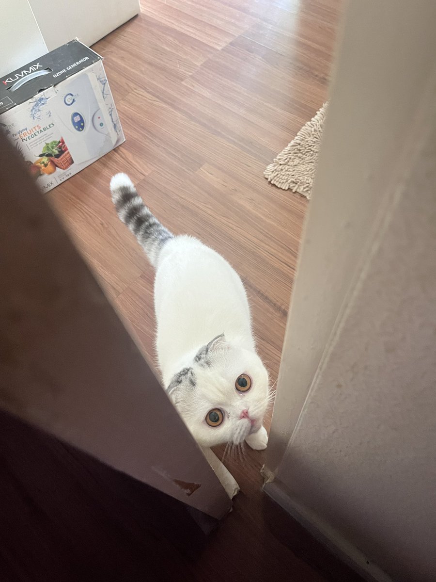 Bingjibaba💗มีแอคล็อค tweet media