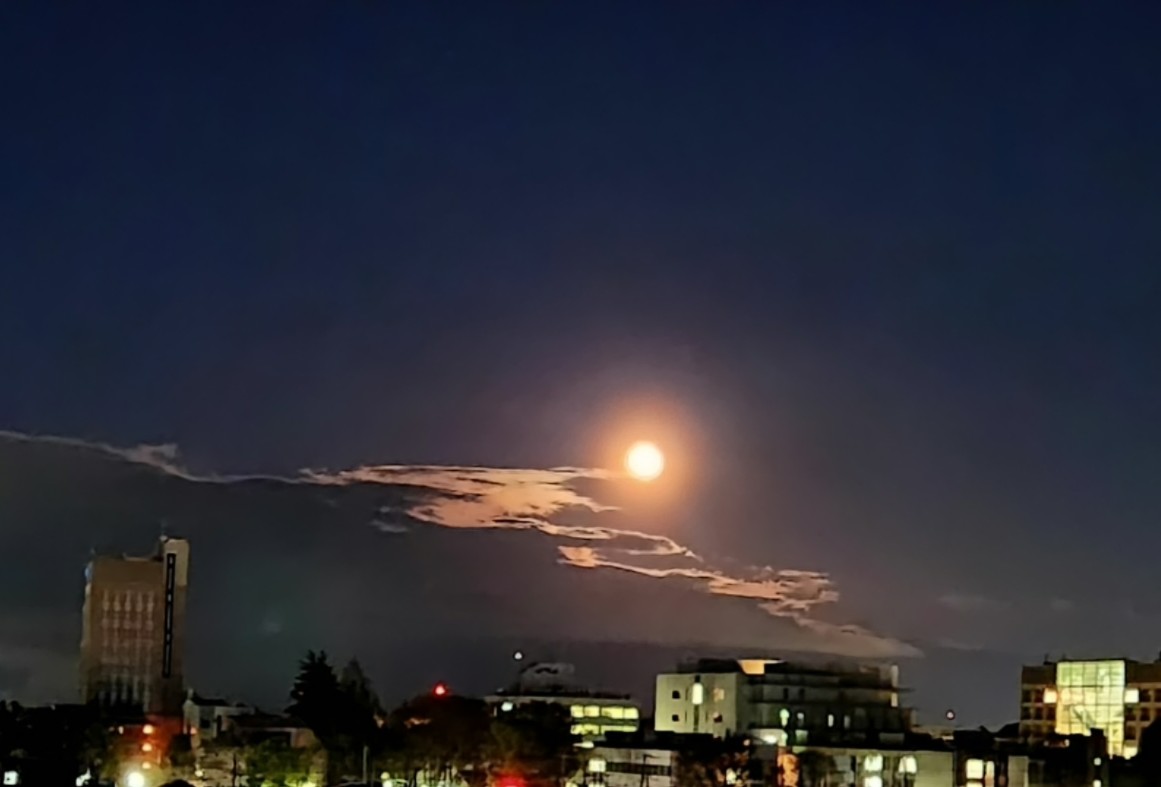 ん 🐾 tweet media