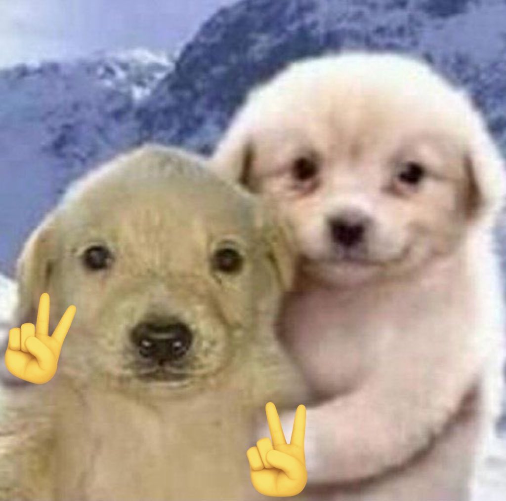 ♥︎з♥︎ seeing bts tweet media